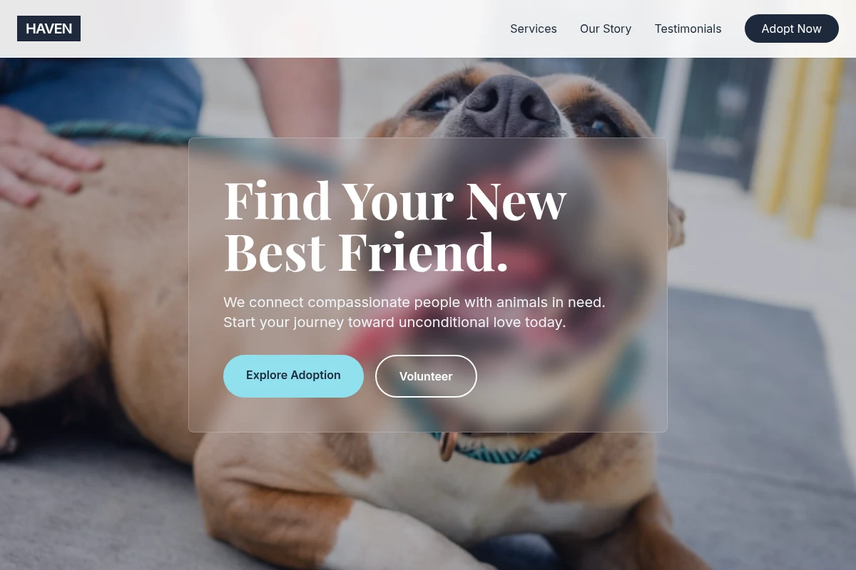 Haven Animal Shelter