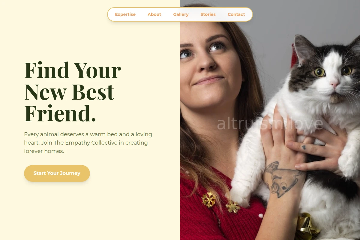 Purpose Animal Shelter