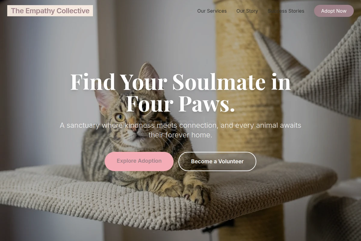 Soul Animal Shelter