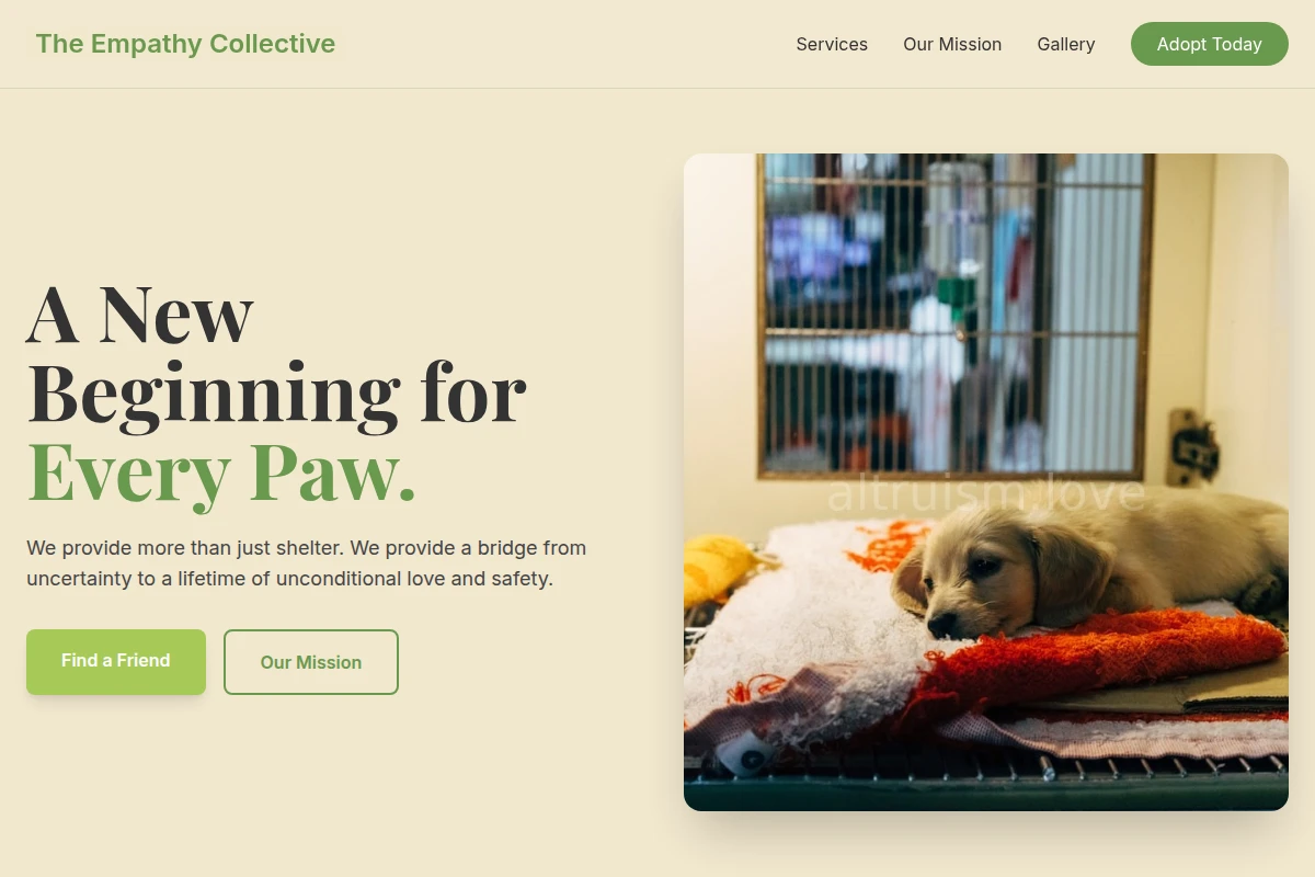 animal-shelter
