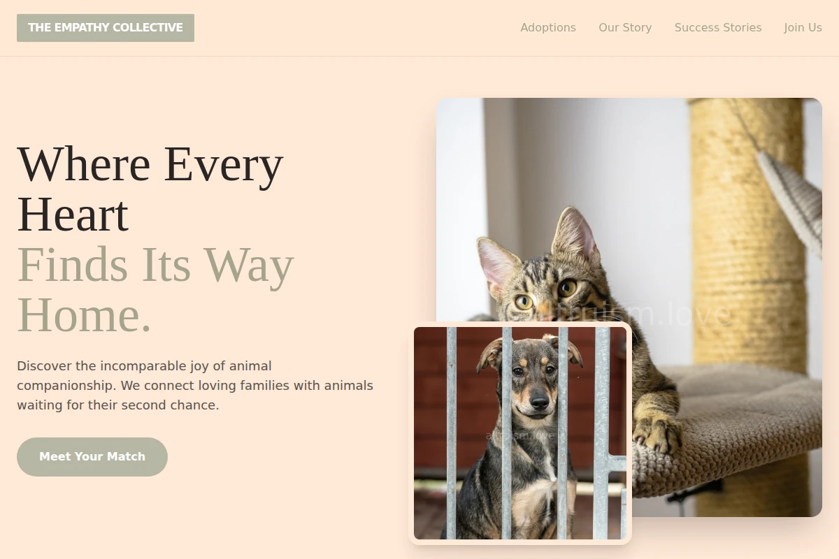 Compassion Animal Shelter