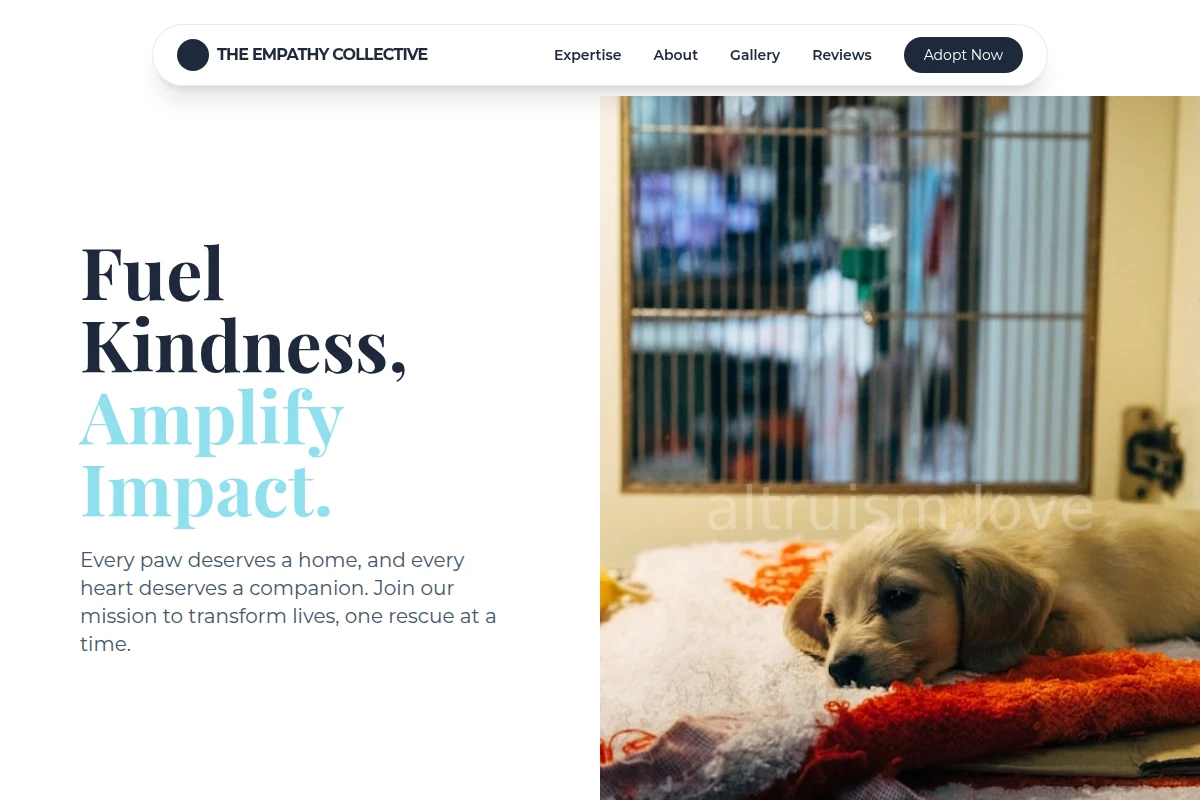 Pulse Animal Shelter