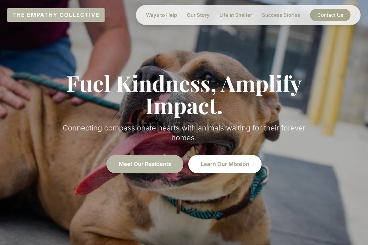 Path Animal Shelter