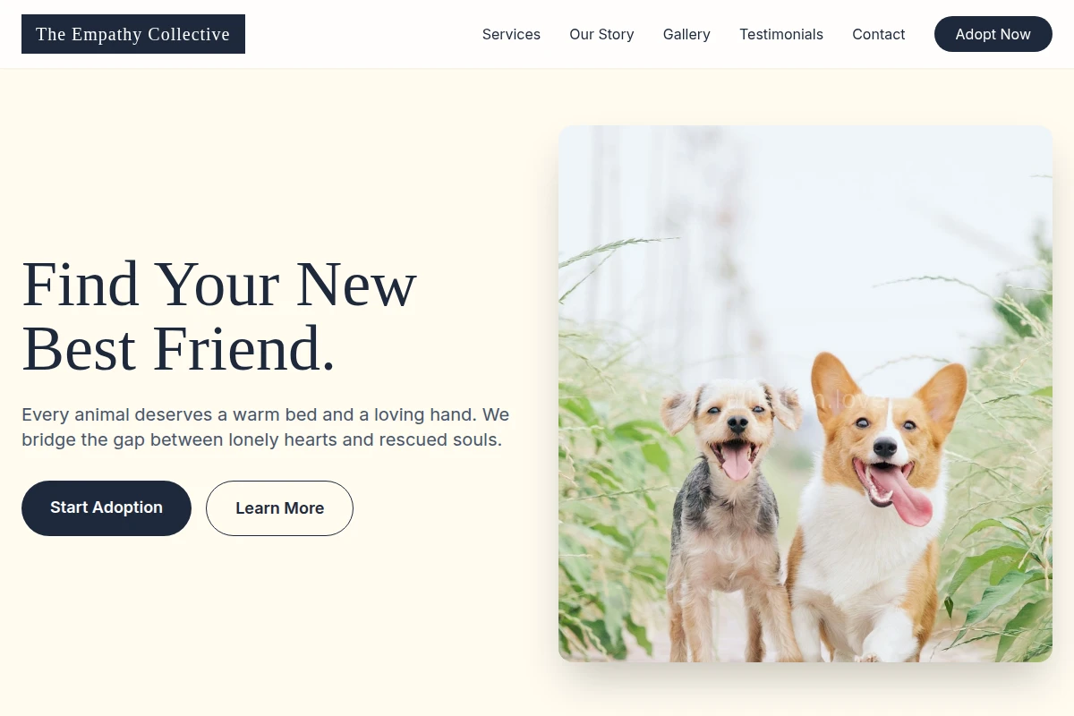 Aura Animal Shelter