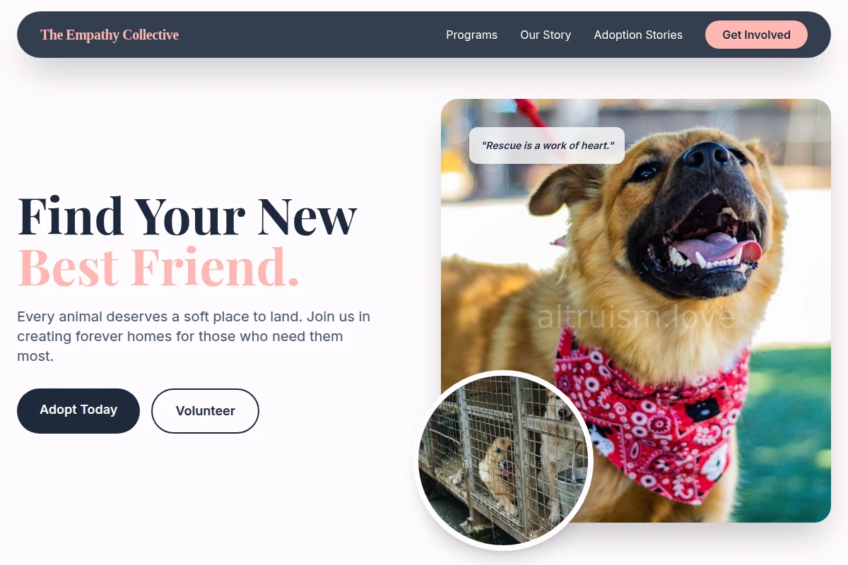 Community Animal Shelter
